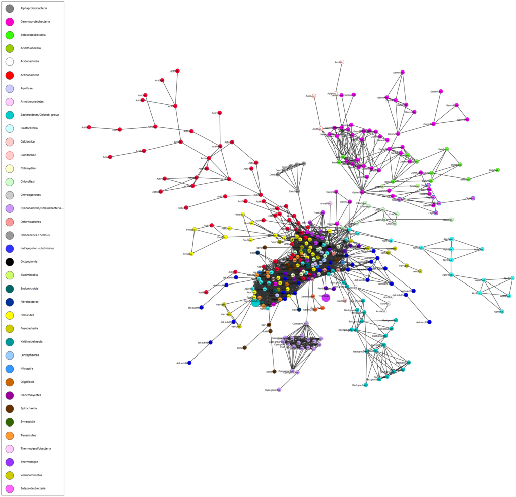 Network of 360 bacteria from all phyla available at NCBI.  This network shows the relationship of the different  bacteria considered.